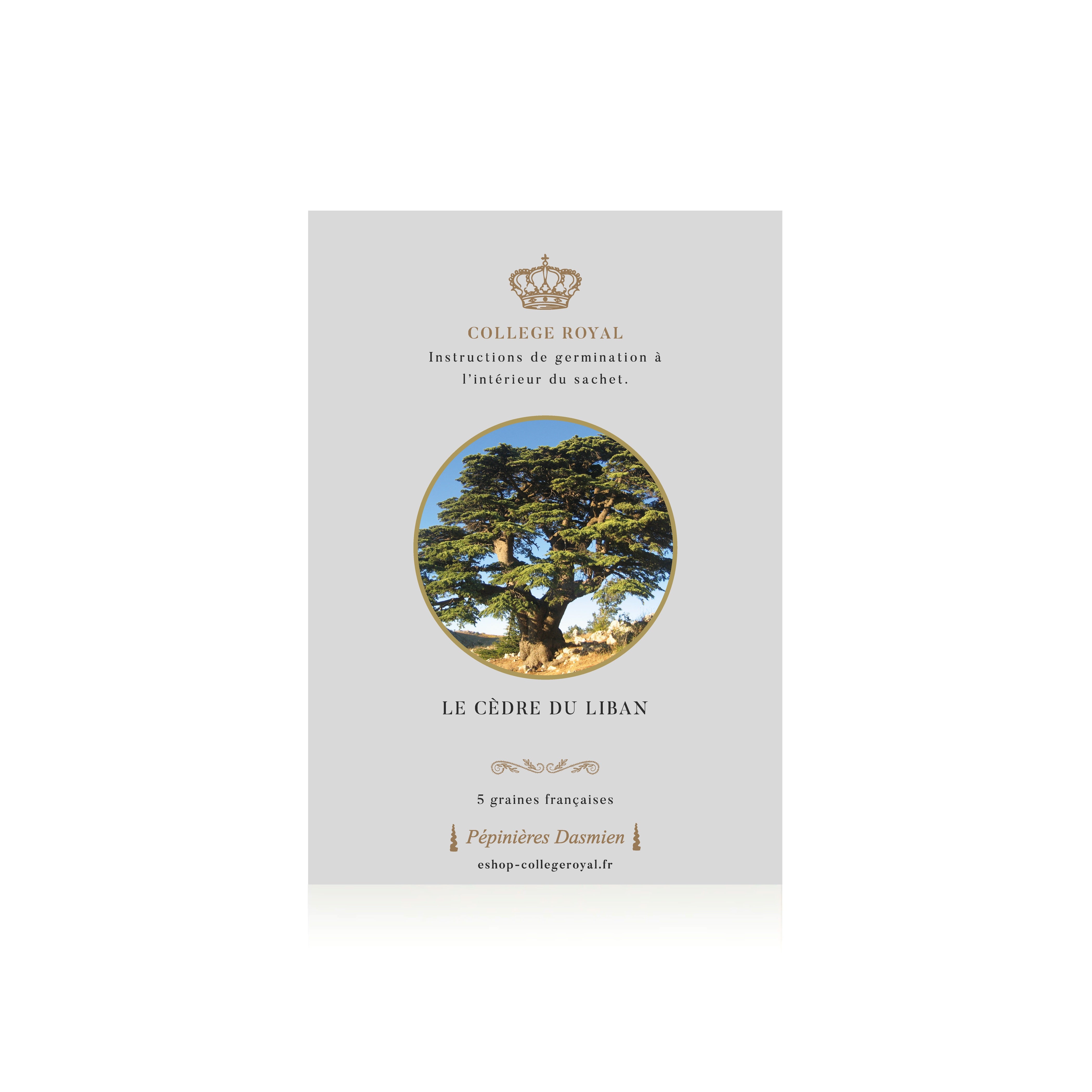 French Seeds of "Cedar of Lebanon"
