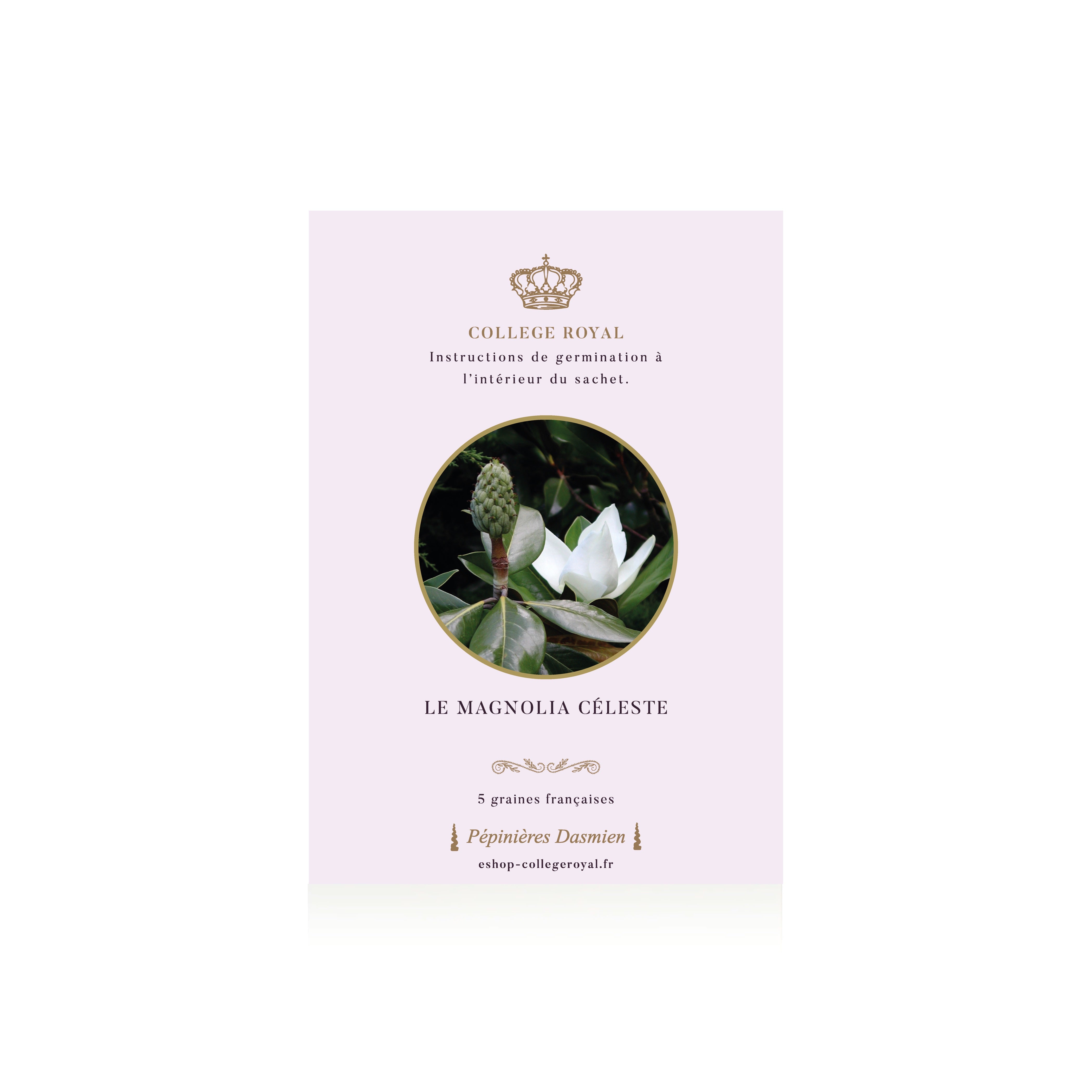 French Seeds of "Celestial Magnolia"