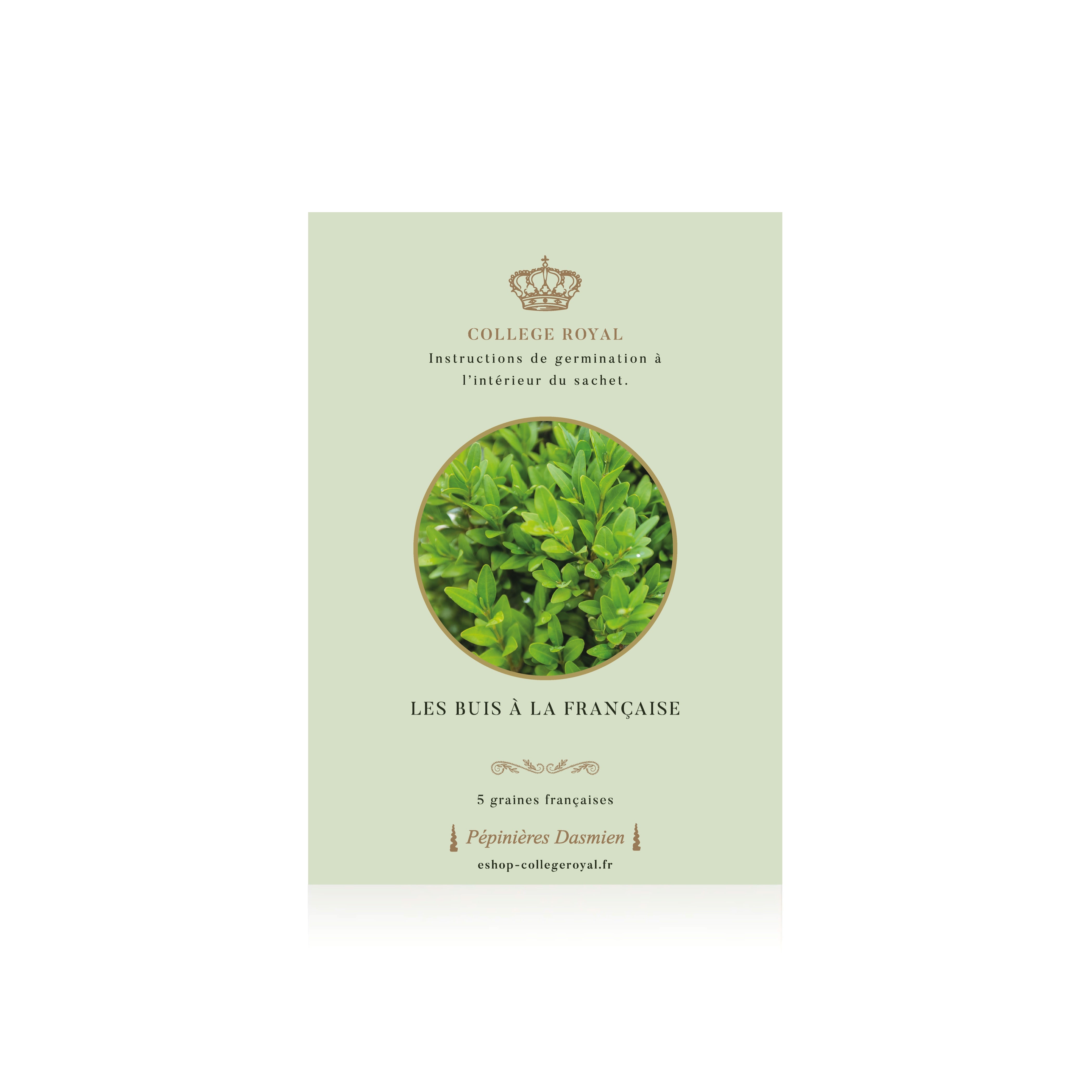 French Seeds of "French Boxwood"
