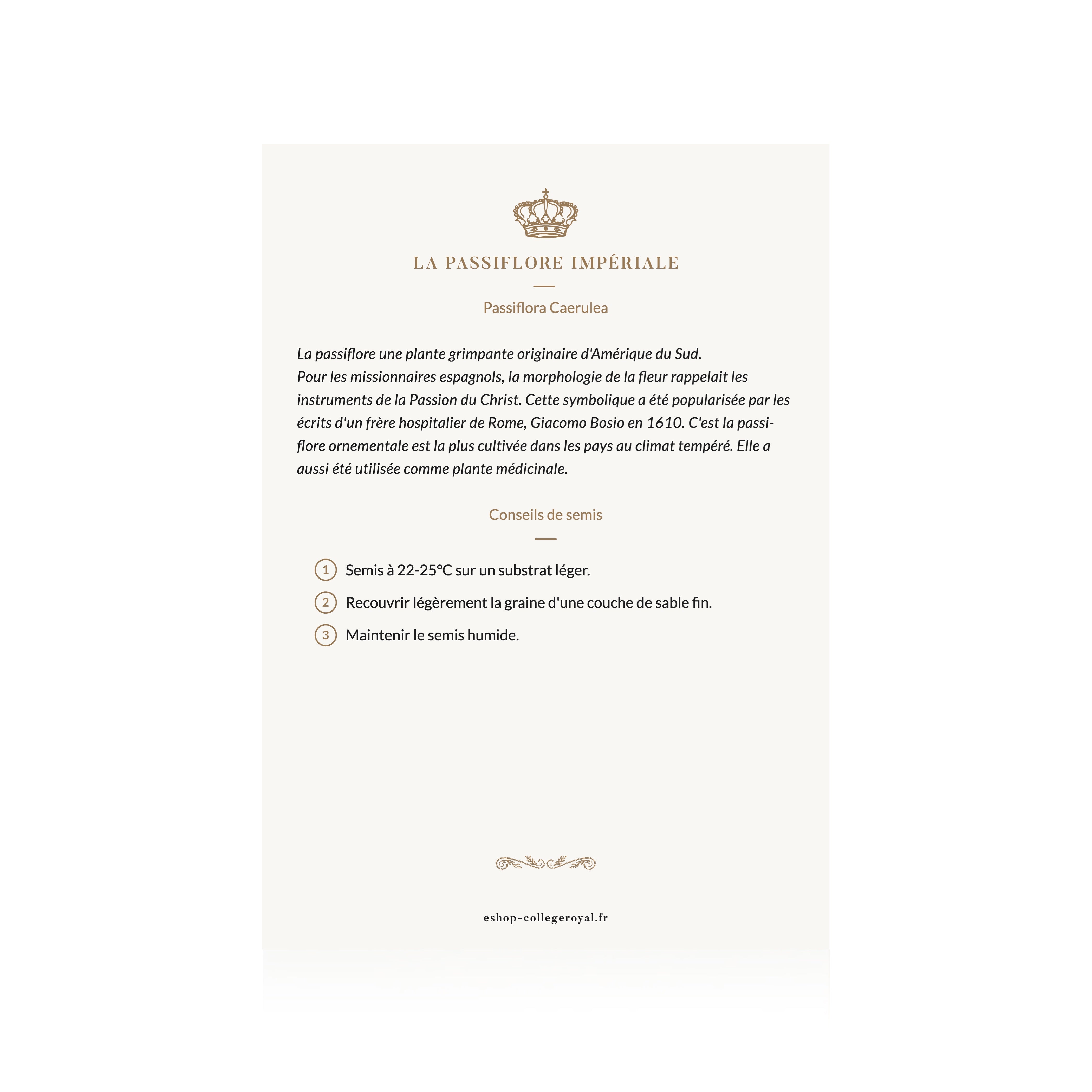 Graines françaises de "Passiflore Impériale"