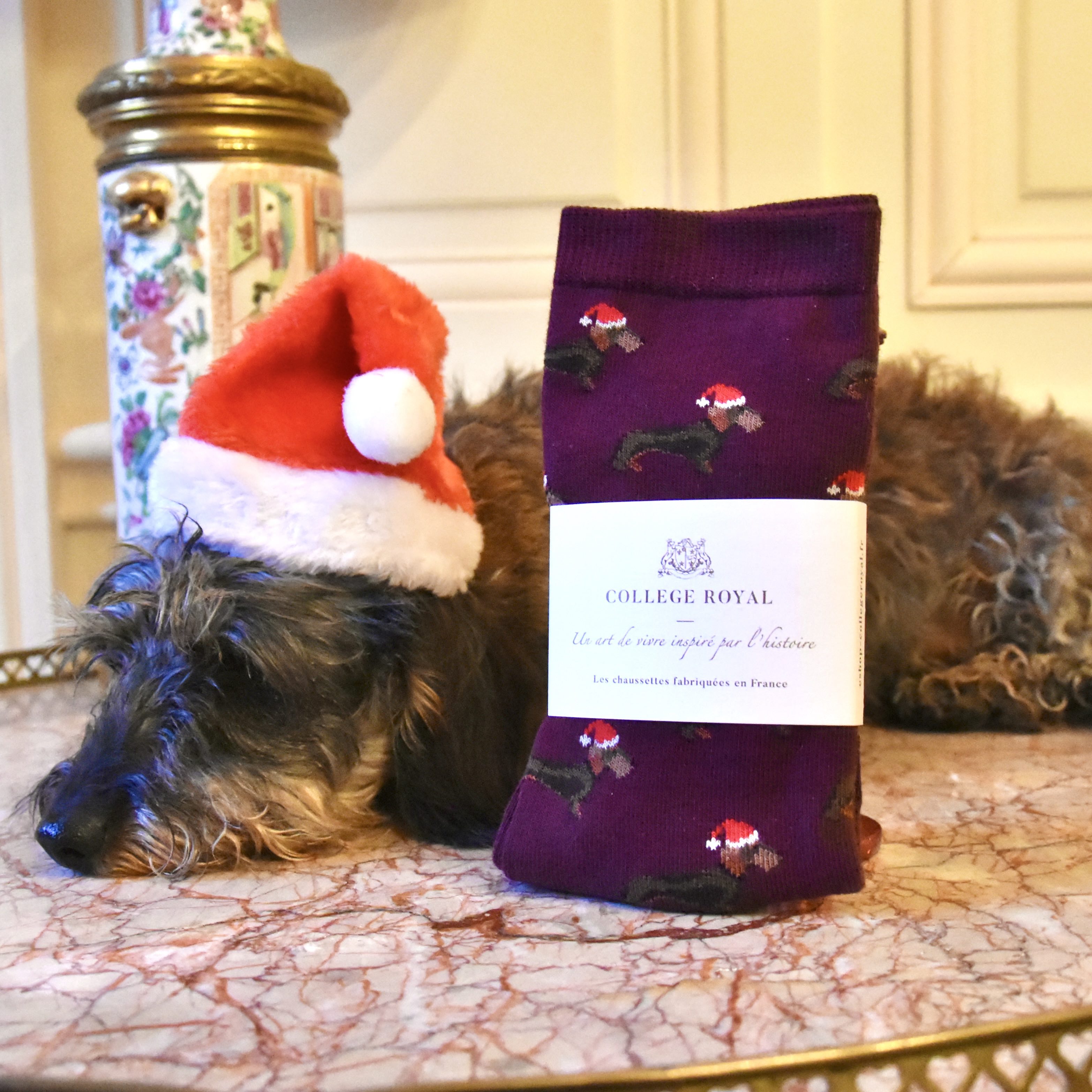 Chaussettes "Teckels de Noël" H/F