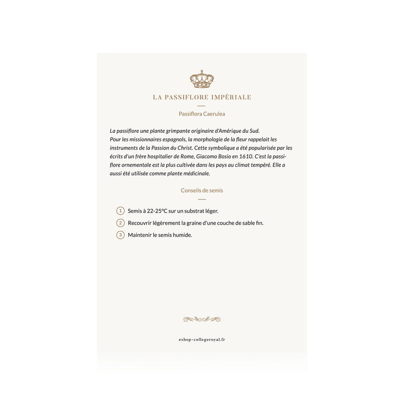 Graines françaises de "Passiflore Impériale"