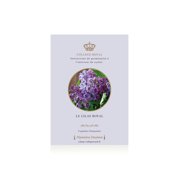 Graines françaises de "Lilas Royal"