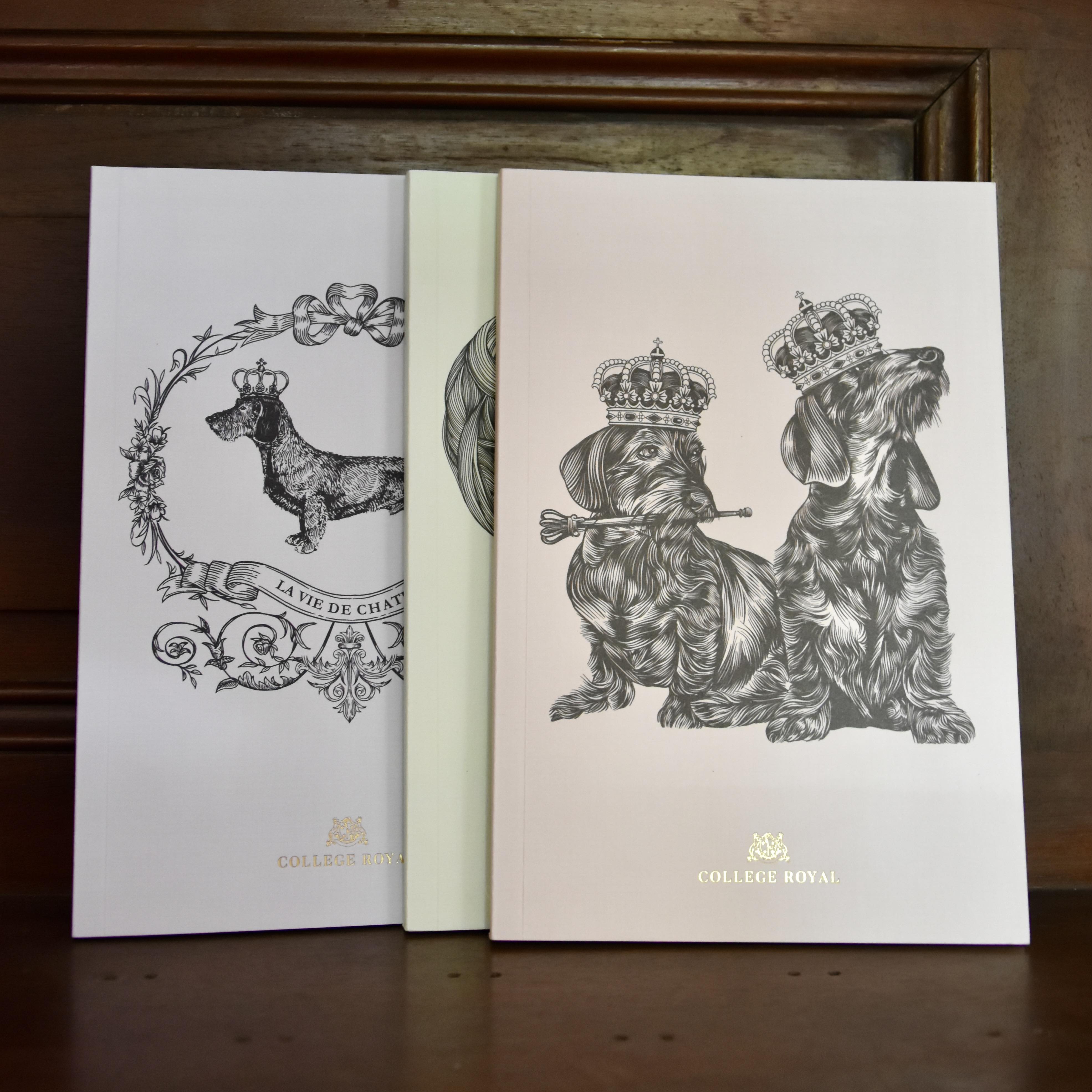 Carnet "Scoop et Mirza" sable
