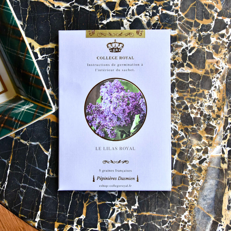 Graines françaises de "Lilas Royal"