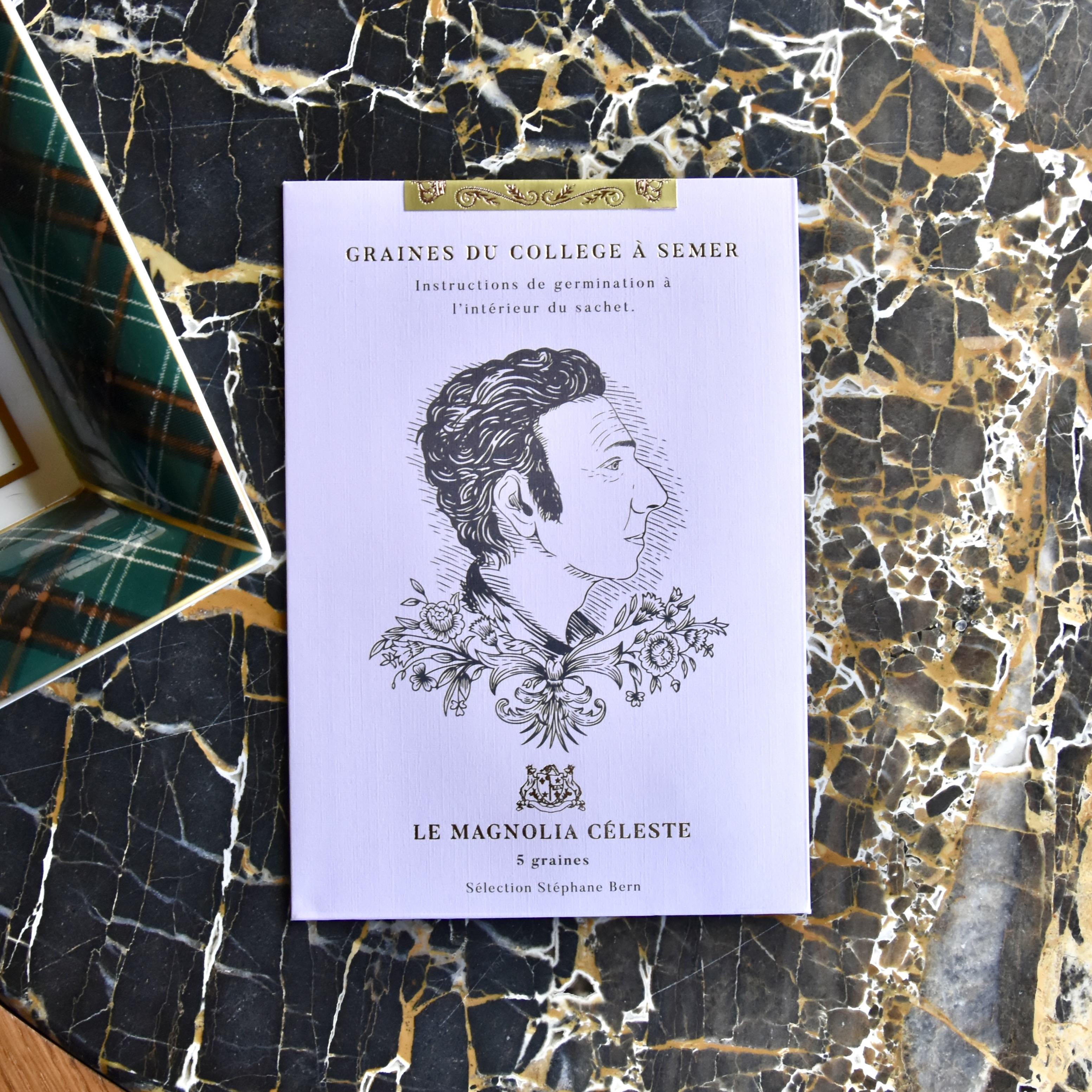 Graines françaises de "Magnolia Céleste"