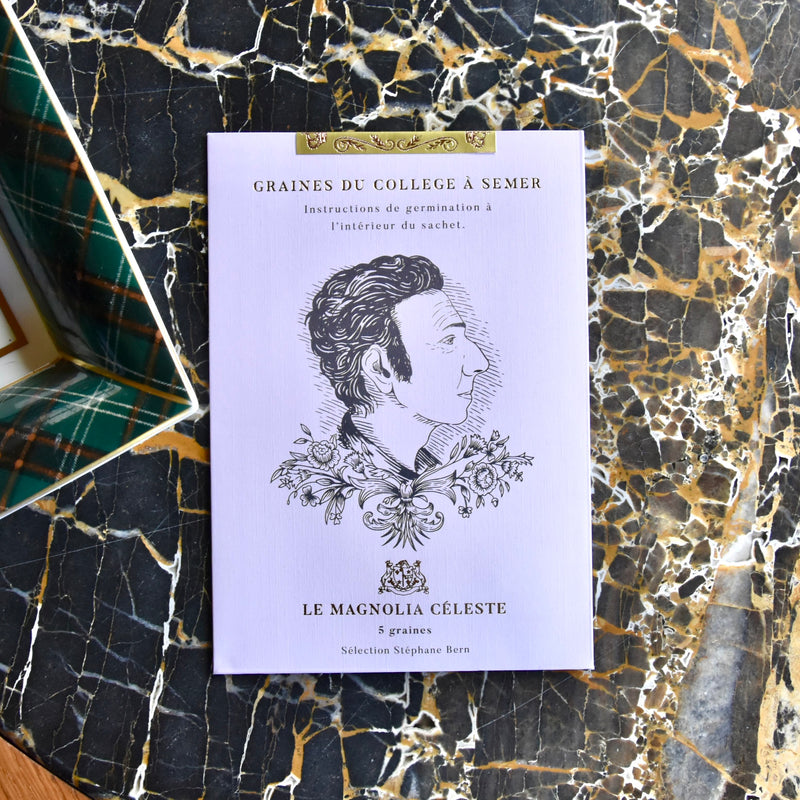 Graines françaises de "Magnolia Céleste"