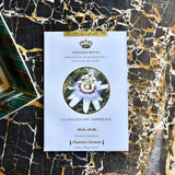 Graines françaises de "Passiflore Impériale"