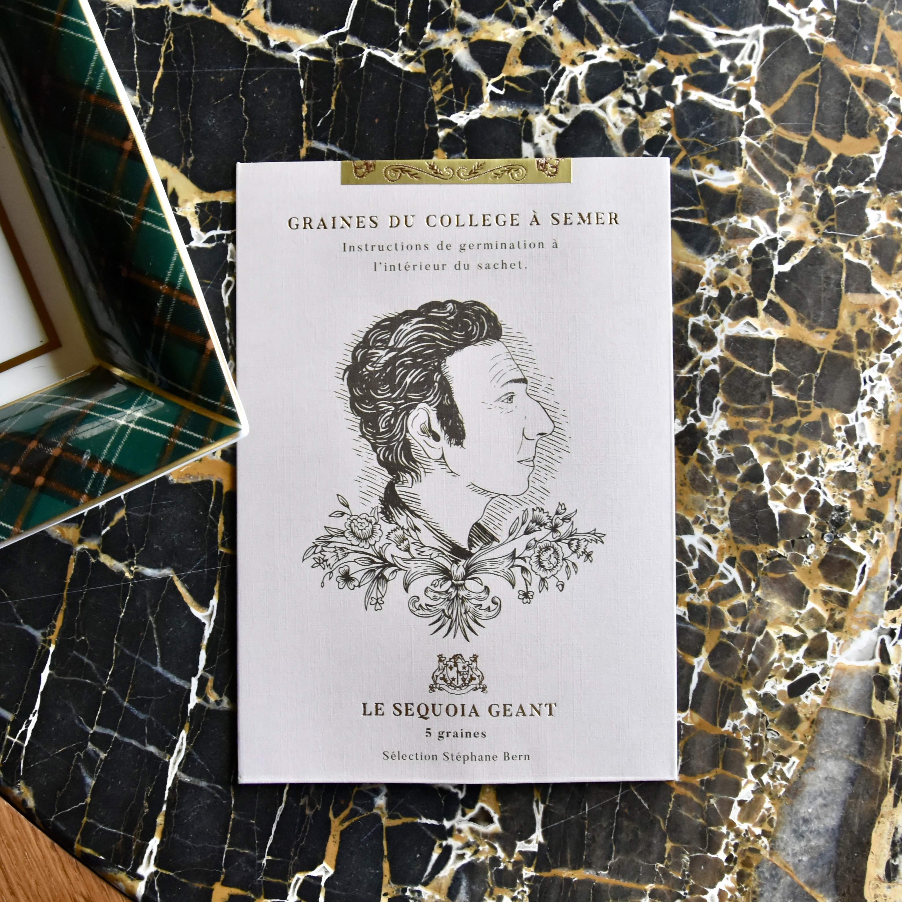 Graines françaises de "Séquoia Géant"